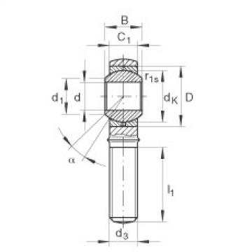 FAG Rod ends - GAKL6-PB