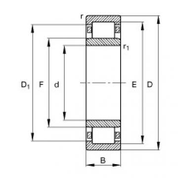 FAG Cylindrical roller Bearings - NU1011-E-XL-M1