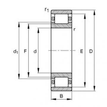 FAG Cylindrical roller Bearings - N206-E-XL-TVP2