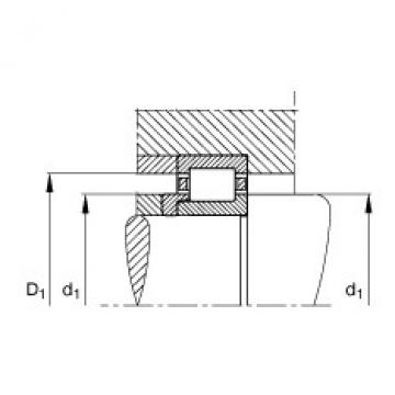 FAG Cylindrical roller Bearings - NJ2206-E-XL-TVP2 + HJ2206-E