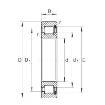 FAG Cylindrical roller Bearings - SL181880-E