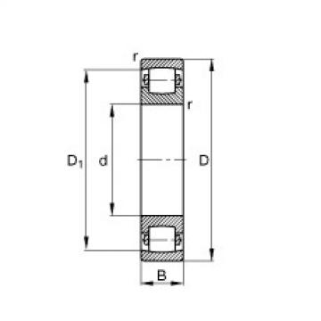 FAG Barrel roller Bearings - 20213-TVP