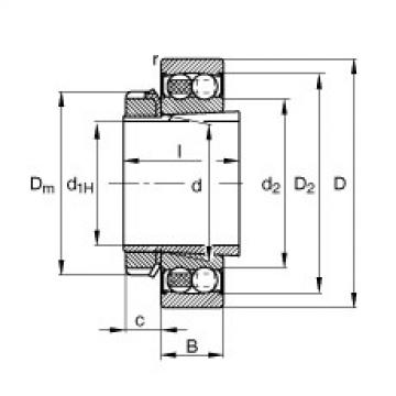 FAG Self-aligning ball Bearings - 2207-K-2RS-TVH-C3 + H307