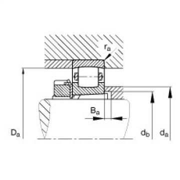 FAG Barrel roller Bearings - 20211-K-TVP-C3 + H211