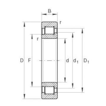 FAG Cylindrical roller Bearings - SL192313-XL