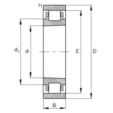 FAG Cylindrical roller Bearings - N1007-K-M1-SP