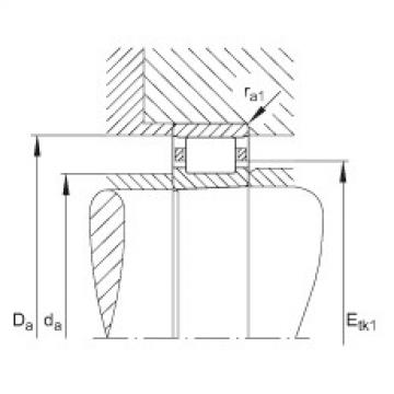 FAG Cylindrical roller Bearings - N1060-K-M1-SP