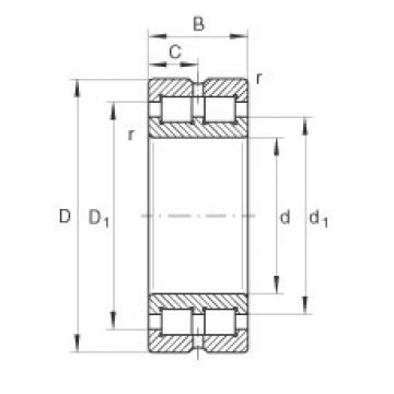 FAG Cylindrical roller Bearings - SL014834