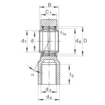 FAG Hydraulic rod ends - GIHNRK90-LO