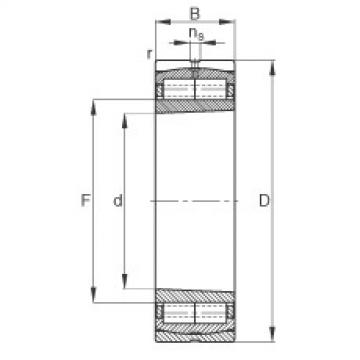 FAG Cylindrical roller Bearings - F-800481.ZL-K-C5