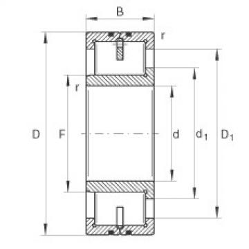 FAG Cylindrical roller Bearings - LSL192322-TB-XL