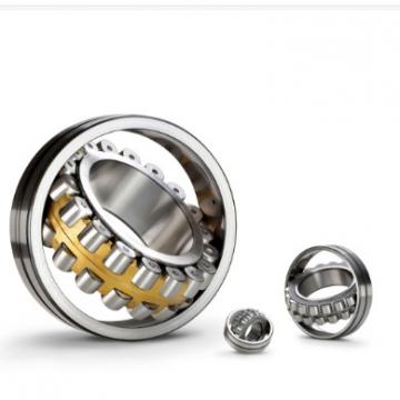 Deep Groove Ball Bearing 6060X2