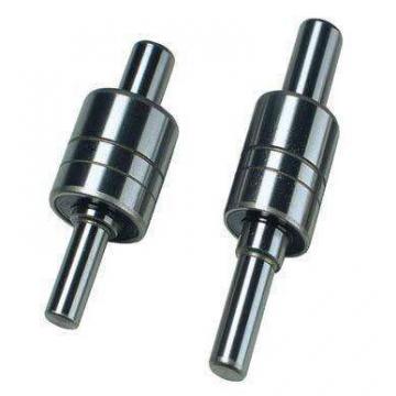 NSK 7004CTRDUMP4Y distributors Precision Ball Bearings