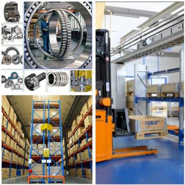  205KG    top 5 Latest High Precision Bearings