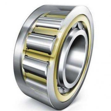 Single Row Cylindrical Roller Bearing NU1040M