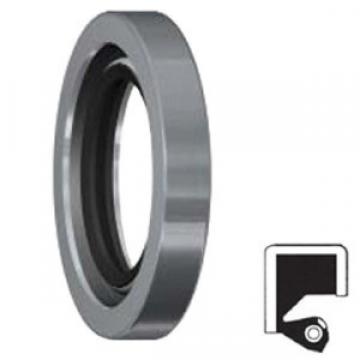 CHICAGO RAWHIDE 100X120X10 HMSA10 V Oil Seals