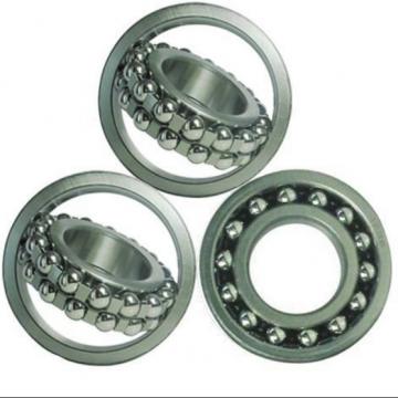  6204-2Z/C3GWP Ball  Bearings 2018 top 10