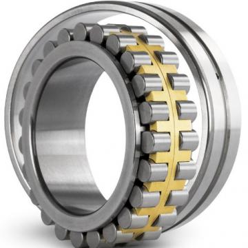  11BA  Cylindrical Roller Bearings Interchange 2018 NEW