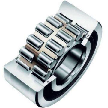 Double-row Cylindrical Rroller Bearings NSKNN3021