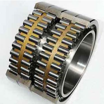 Double-row Cylindrical Rroller Bearings NSKNNU4992