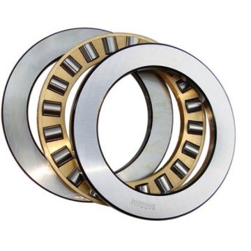 INA SL12924 Cylindrical Roller Bearings