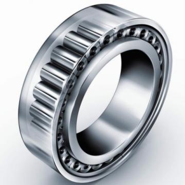 Single Row Cylindrical Roller Bearing NF220M