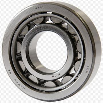 Single Row Cylindrical Roller Bearing NJ220EM