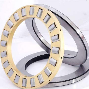 INA SL183036 Cylindrical Roller Bearings