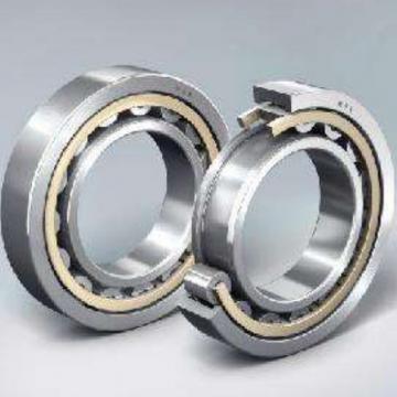 Double Row Cylindrical Bearings NN3024