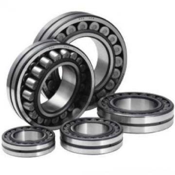 Bearing NNC48/500V