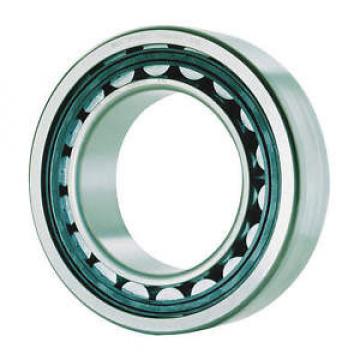 Fag Bearings Cylindrical BRG, Cage Guided, Bore 72 mm NU2207-E-TVP2