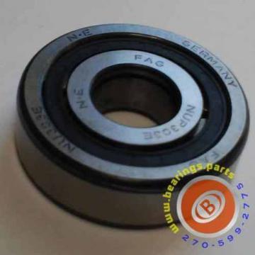 NUP303E-TVP2 Cylindrical Roller Bearing  -  FAG Brand