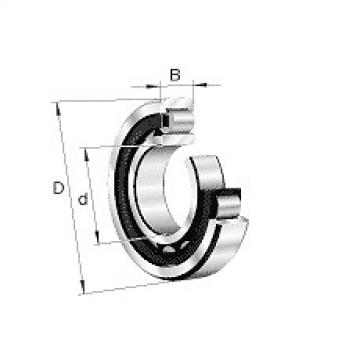 NU2264EX.M1.C3 FAG Cylindrical Roller Bearing Single Row