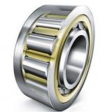 Single Row Cylindrical Roller Bearing N240M