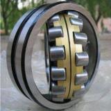 Catalogue Spherical Roller Bearings22322B