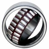 Catalogue Spherical Roller Bearings22234B