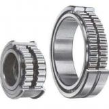 Double Row Cylindrical Bearings NN3096