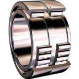 Bearing NNC4968V