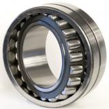  23064EJW509C08C3 TIMKEN bearing