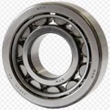 Single Row Cylindrical Roller Bearing NU330EM