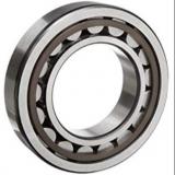 TPS Cylindrical Roller Bearing 40TPS116