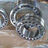 Double Row Cylindrical Bearings NNU49/950
