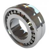 Double-row Cylindrical Rroller Bearings NSKNNU3032