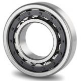 TPS Cylindrical Roller Bearing 100TPS145